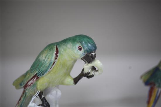 A rare pair of Naples Real Fabbrica porcelain figures of parrots on fruiting branches, early 19th century, height 26.5cm and 27cm, exte